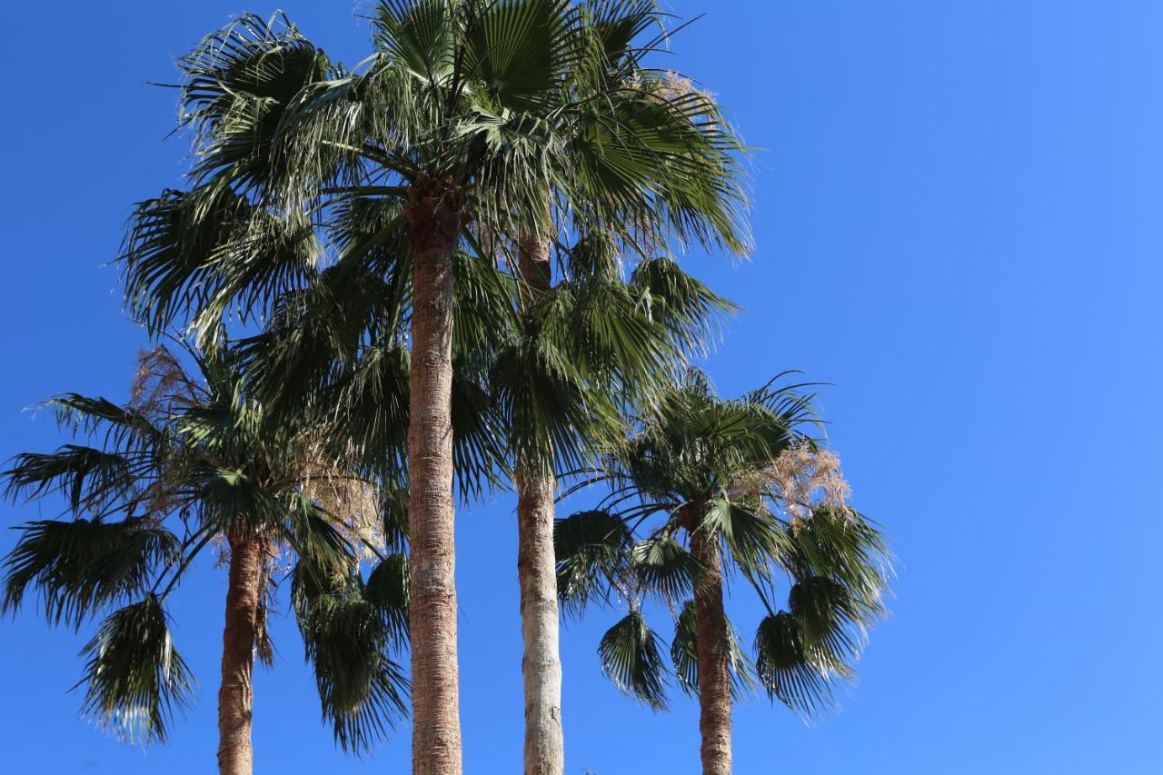 Villa El Ranchito By Seric, 15' Walking To The Beach Torremolinos Buitenkant foto